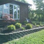 Newly installed paver retaining wall is softened by a Japanese maple and various perennials.